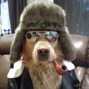 Meet your Posher, Bryan